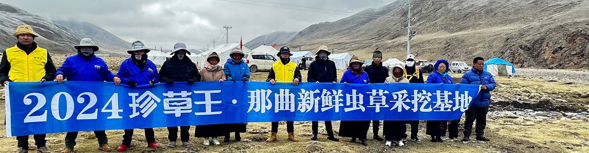 那曲蟲草價(jià)格